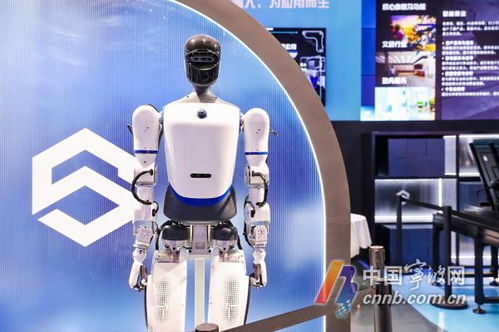 機(jī)器人生活秀 數(shù)量超60款，數(shù)貿(mào)會(huì)展現(xiàn)科技專(zhuān)業(yè)新圖景
